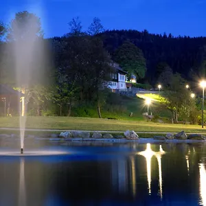 Hotel Familotel Mein Krug, Warmensteinach
